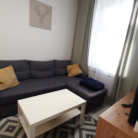 Apartament Na Kochanowskiego Stary Toruń Extérieur photo