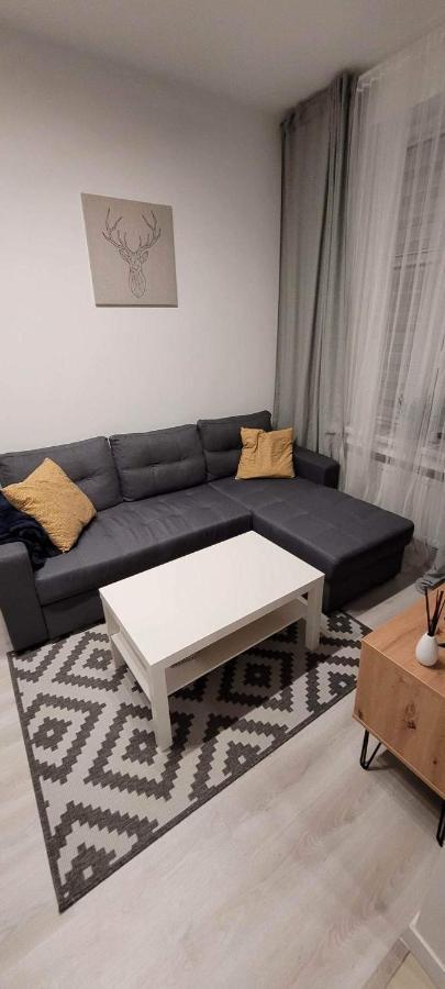 Apartament Na Kochanowskiego Stary Toruń Extérieur photo