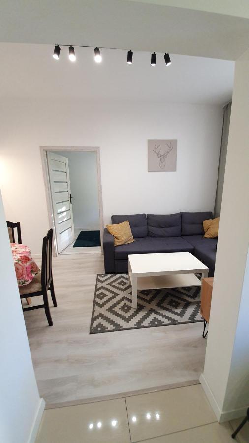 Apartament Na Kochanowskiego Stary Toruń Extérieur photo
